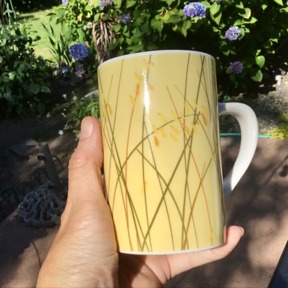 🌺NEW! 2004/5 Starbucks Collectible Mugs-7 - Picture 7 of 13